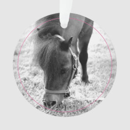 Horseshoes Rosa Pet Horse NAMN Photo Keepsak