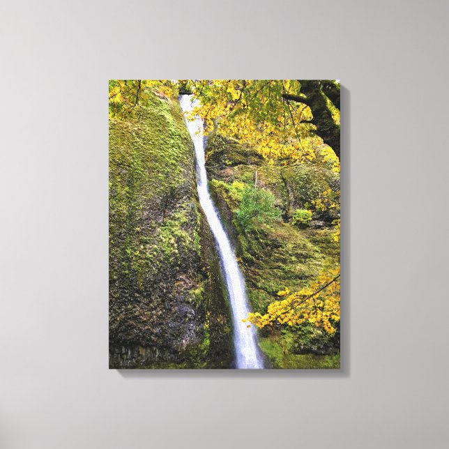 Horsetail Falls, Columbia River Gorge, Oregon Canvastryck (Framsida)