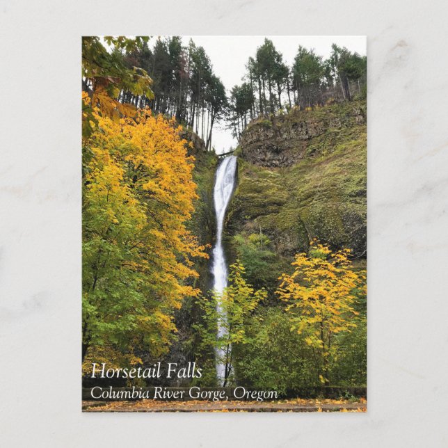 Horsetail Falls, Columbia River Gorge, Oregon Post Vykort (Framsida)