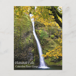 Horsetail Falls, Columbia River Gorge, Oregon Post Vykort