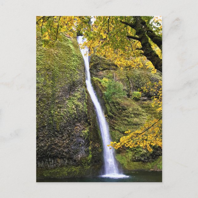 Horsetail Falls, Columbia River Gorge, Oregon Vykort (Framsida)
