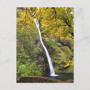 Horsetail Falls, Columbia River Gorge, Oregon Vykort