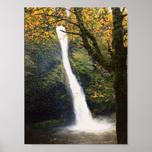 Horsetail Falls, ELLER Poster