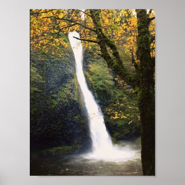 Horsetail Falls, ELLER Poster (Framsidan)