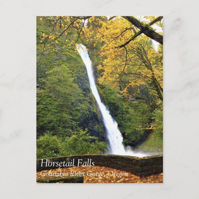 Horsetail Falls, ELLER Vykort (Framsida)
