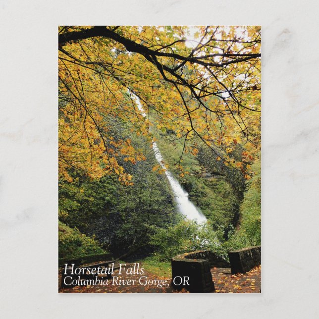 Horsetail Falls, Oregon Vykort (Framsida)