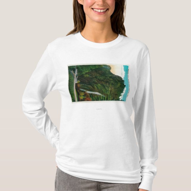 Horsetailnedgångar i den Columbia River klyftan T-shirt (Framsida)