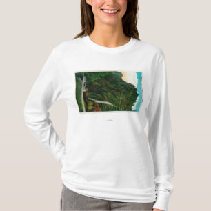 Horsetailnedgångar i den Columbia River klyftan Tee