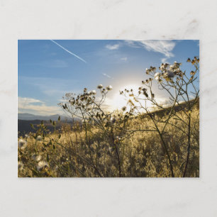Horsetooth Reservoir Colorado Postcard Vykort