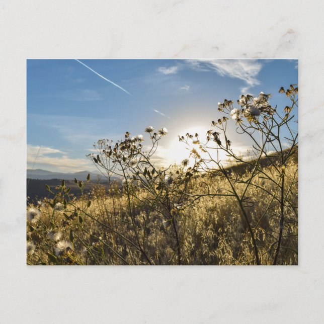 Horsetooth Reservoir Colorado Postcard Vykort (Framsida)