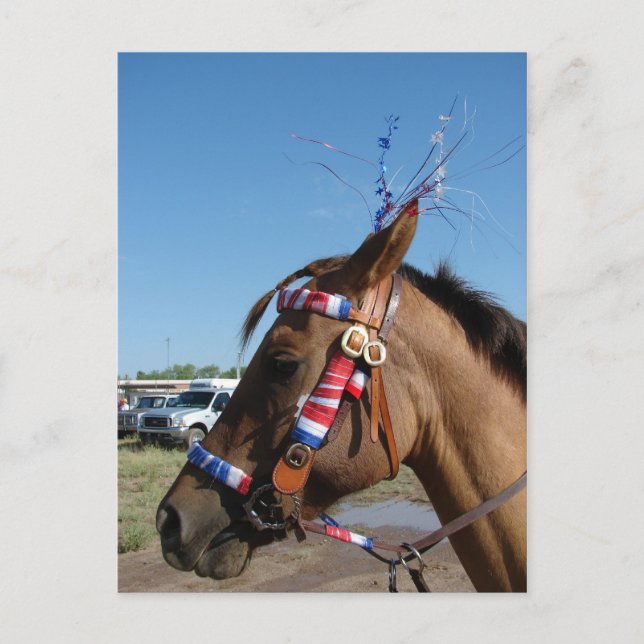 Horsey 4:e vykort (Framsida)