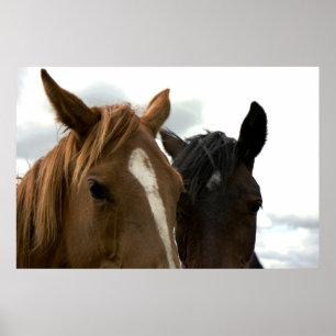 Horsey kärlek poster