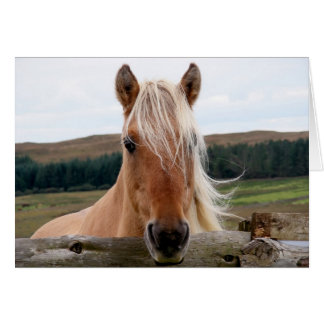 Horsie Hälsningskort