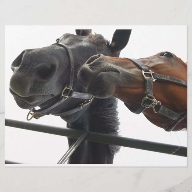 Horsing Around (Framsida)