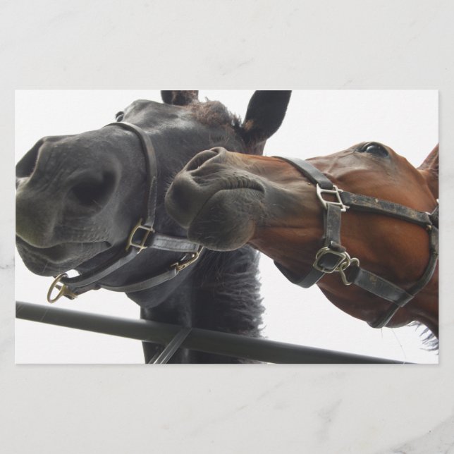 Horsing Around Brevpapper (Framsida)