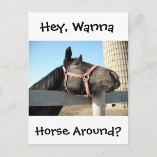 Horsing Around Vykort