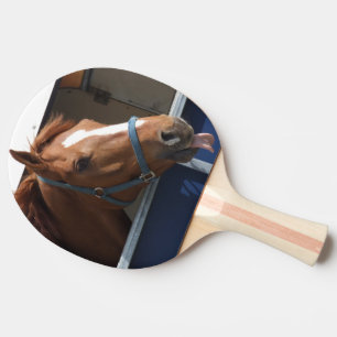 Horsing omkring - uppnosig kastanjebrun horse. pingisracket