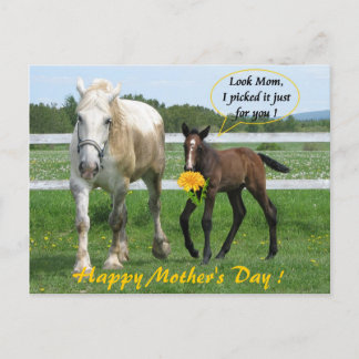 Horsy Mors dag Vykort