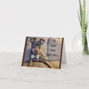 HÖRT ATT DU INTE KÄNNER DIG SÅ BRA:( KORT