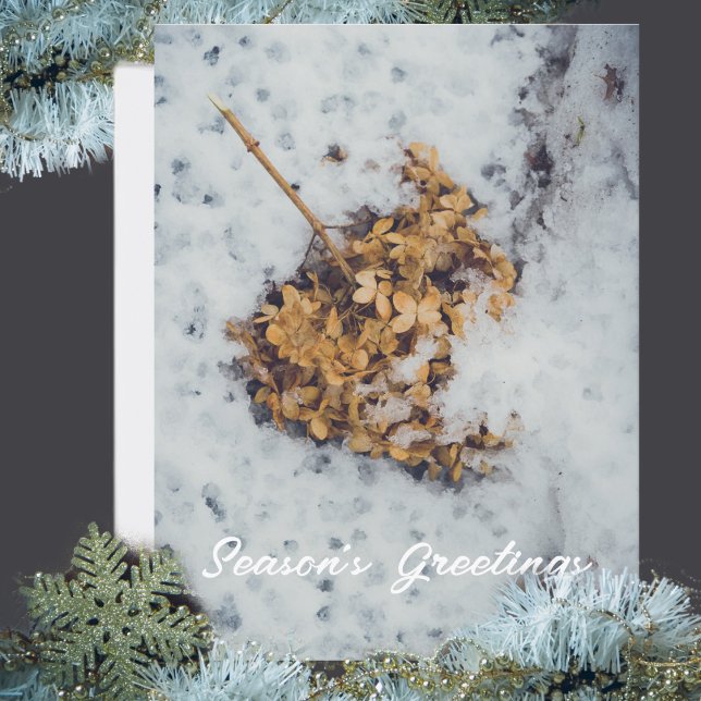 Hortensia-blomman på snö helg vykort (Skapare uppladdad)