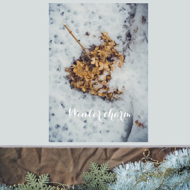 Hortensia-blomman på snö poster (Skapare uppladdad)