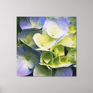 Hortensia Blommar Botaniskt konstblått och Gult Canvastryck
