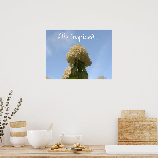 Hortensia Blommor Blå Himmel Poster (Kök)