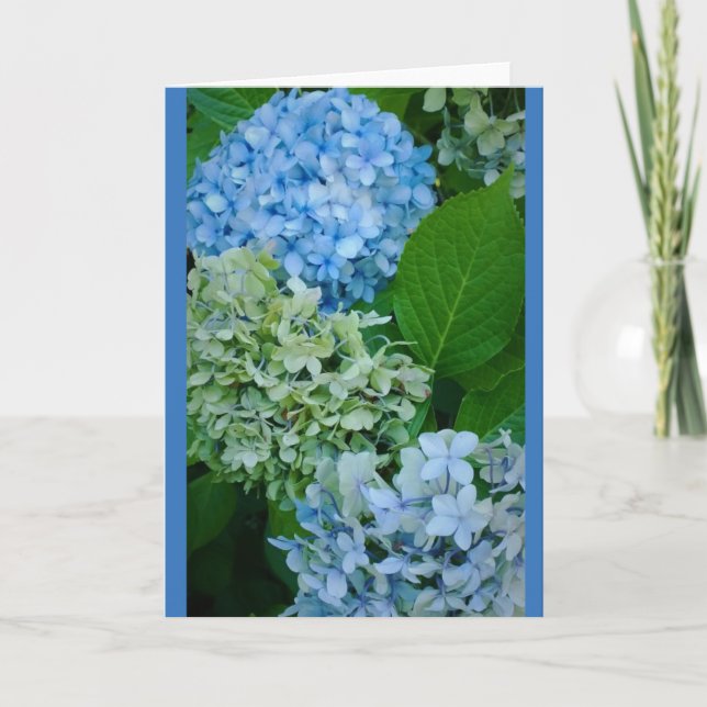 Hortensia blommor kort (Framsida)