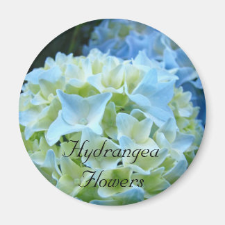 Hortensia Blommor magnet Blå Hortensior Blommig