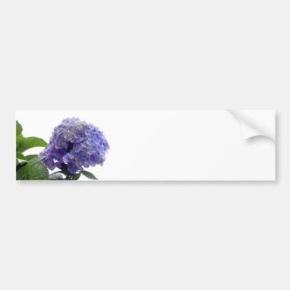 Hortensia Buske Klistermärken