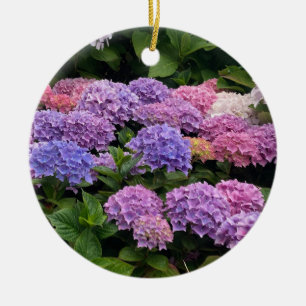 Hortensia Fotografi Julgransprydnad Keramik