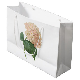 hortensia (Hydrangea sp.) från Redouté