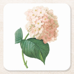 hortensia (Hydrangea sp.) från Redouté Underlägg Papper Kvadrat