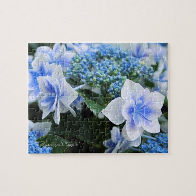 Hortensia 'Konpeito' [Pussel: 110 bitar] Pussel (Horisontell)