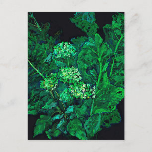 Hortensia och Pepparrot Blommig Konst Svart & Grön Helg Vykort
