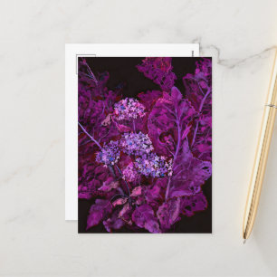 Hortensia & Pepparrot Floral Konst Svart Lila Helg Vykort
