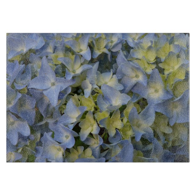 hortensias bleus (Framsidan)