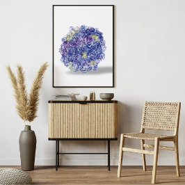 Hortensior i akvarell - Blommig konsttryck Poster
