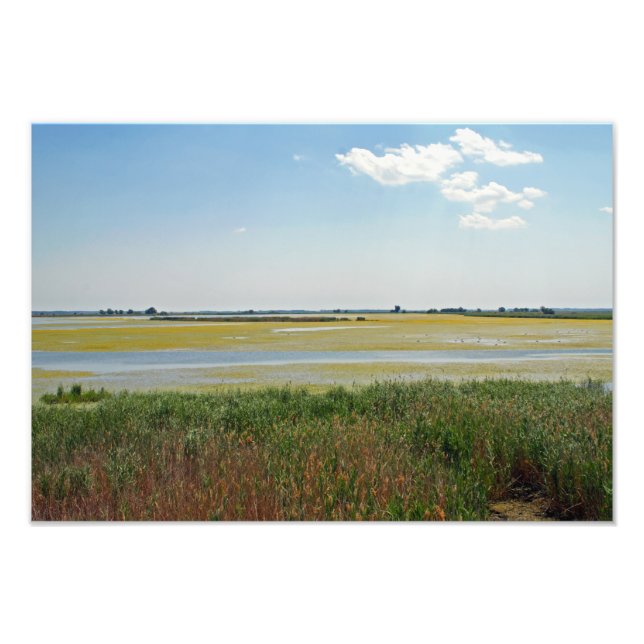 Hortobagy nationalpark, Ungern Fototryck (Framsidan)