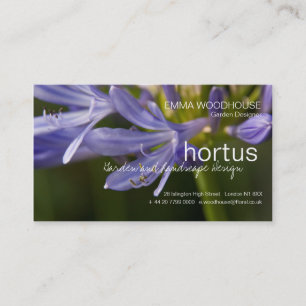 Hortus - Agapanthusvisitkort Visitkort