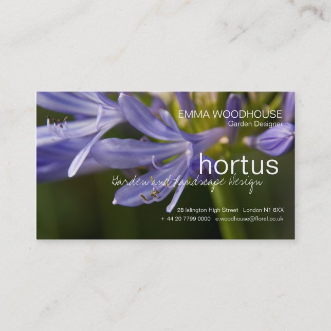 Hortus - Agapanthusvisitkort Visitkort (Framsida)