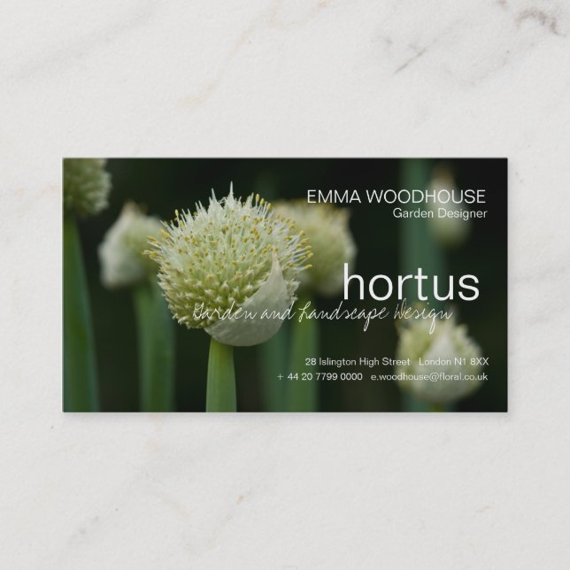 Hortus - Allium Affärskort Visitkort (Framsida)