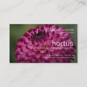 Hortus - Dahliavisitkort Visitkort