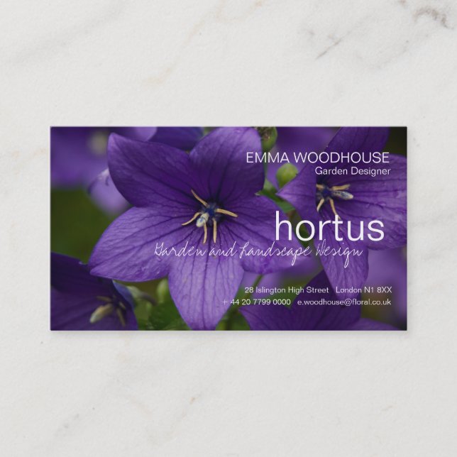 Hortus - kinesisk blåklockavisitkort visitkort (Framsida)