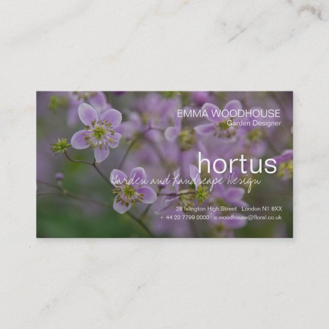 Hortus - Thalictrumvisitkort Visitkort (Framsida)