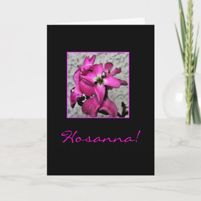Hosanna Påsk blommigt bibelcitattecken Helgkort (Framsida)