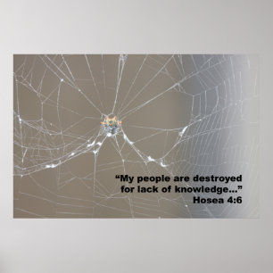 Hosea 4:6, Poster skript, version D