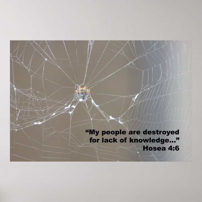 Hosea 4:6, Poster skript, version D (Framsidan)