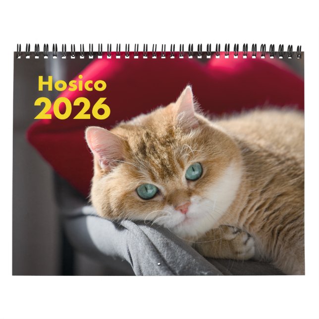 Hosico Calendar 2026 Kalender (Omslag)