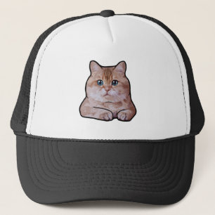 Hosico Cat Keps